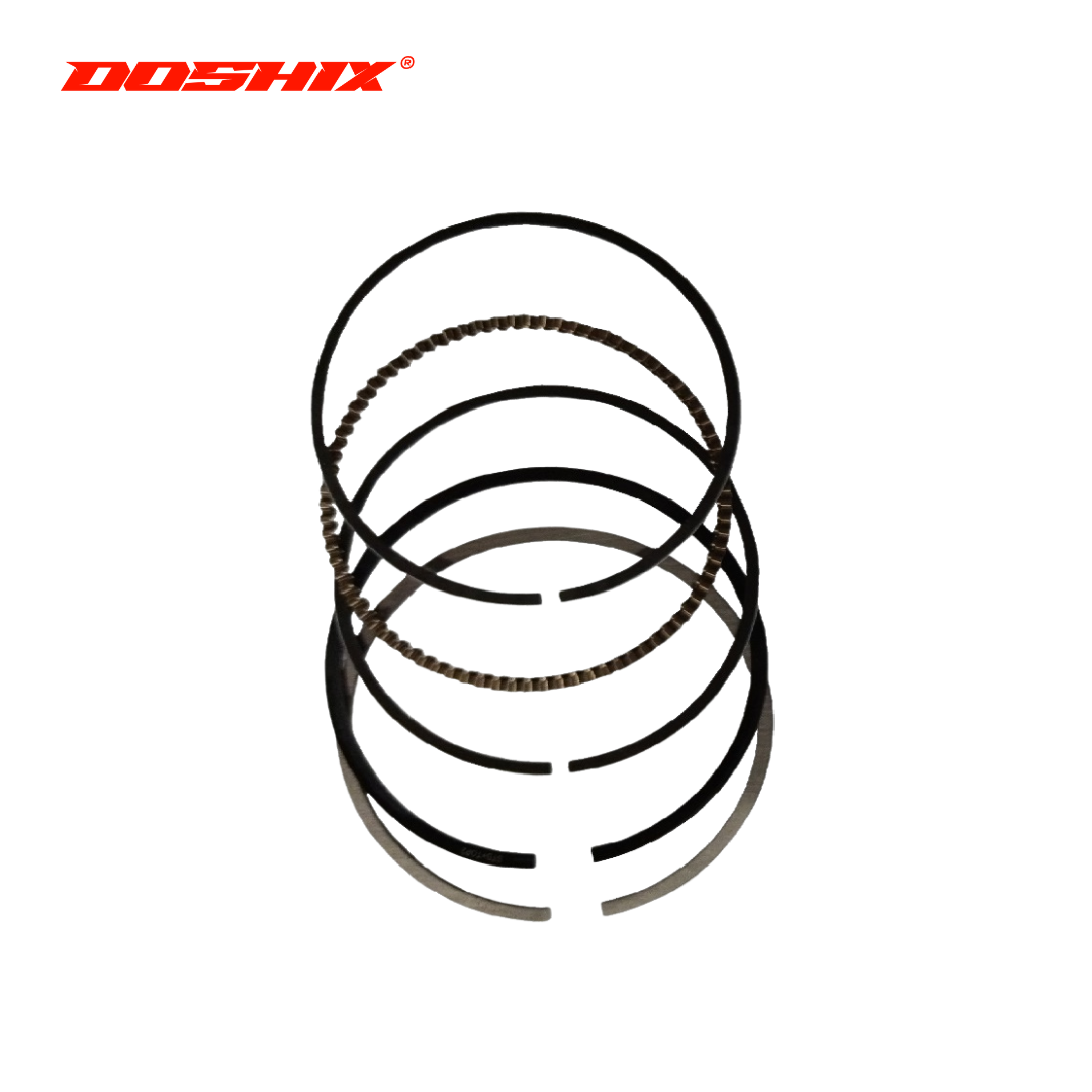 PISTON KIT WITH RING